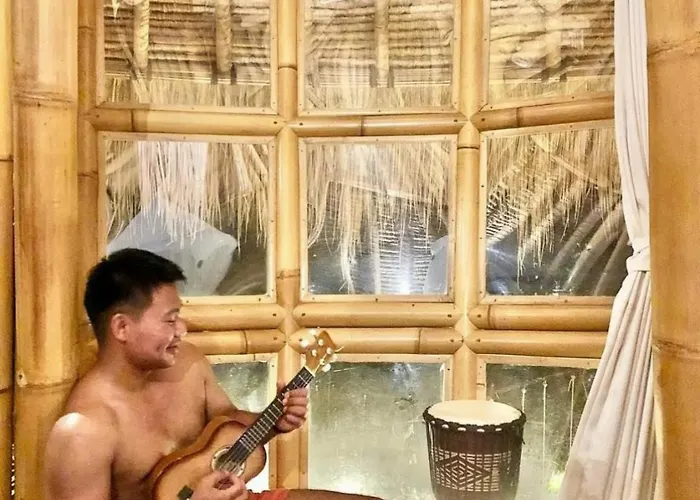 Dd Bamboo