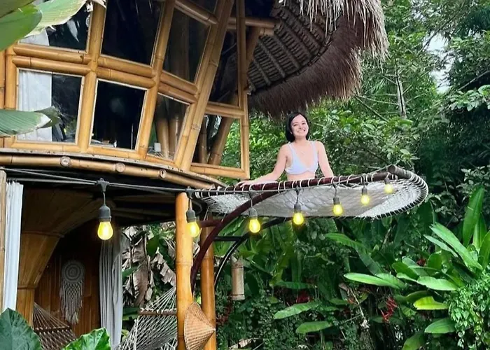 Dd Bamboo *